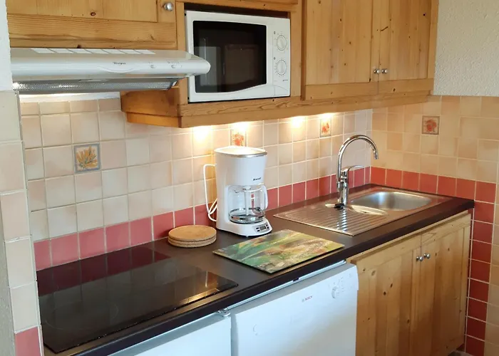 Pour 6 Au Pied Des Pistes Au Centre Des Deux Alpes - Fr-1-516-28 Lejlighed *