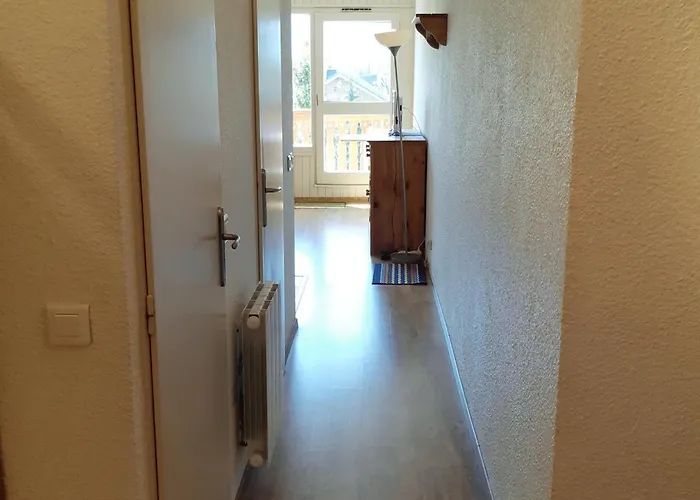 Pour 6 Au Pied Des Pistes Au Centre Des Deux Alpes - Fr-1-516-28 Apartament